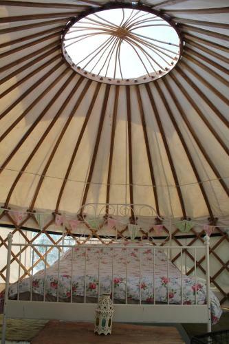 Mill Haven Place Glamping-yurt 1