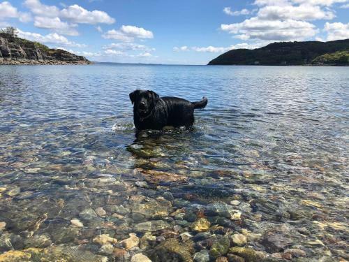 Barfad Self Catering Holiday Cottages