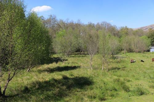 Loch View