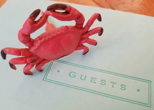 Crab Shack Apartments - Stylish Back Beach Duplex Apartment, Teignmouth