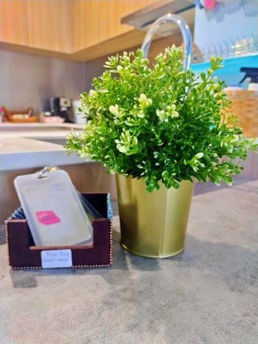 Apartamento Petalz The Urban Stay By M Platinum
