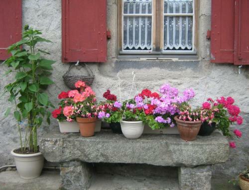 Bed & Breakfast Le Relais De La Diligence