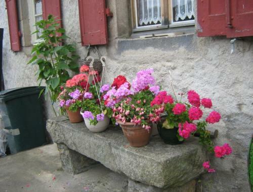 Bed & Breakfast Le Relais De La Diligence