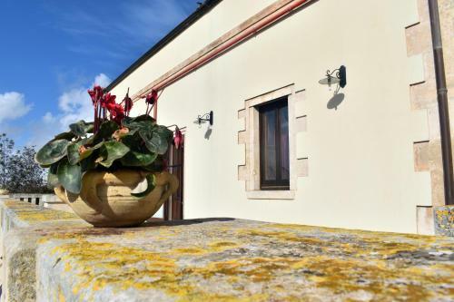 Bed & Breakfast Domus Aurea Resort