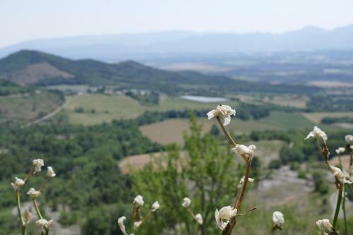 Un Gite De Charme En Haute Provence