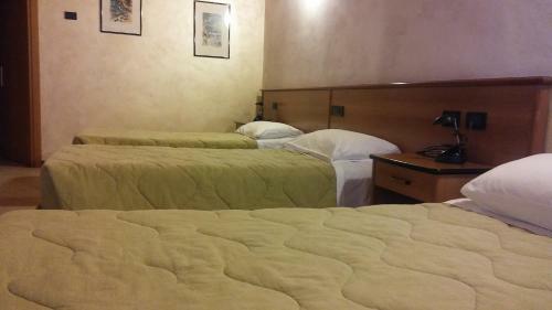 Hotel Tolin