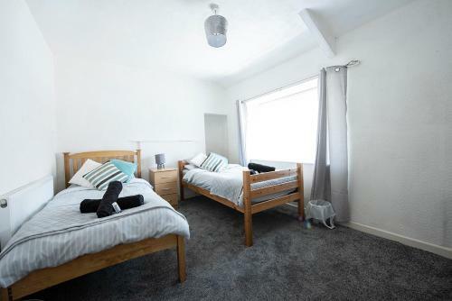 Swansea Cosy Stay