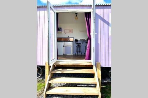 Lilac Tree Hut