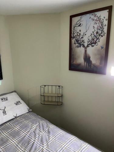Apartamento Deer Lodge