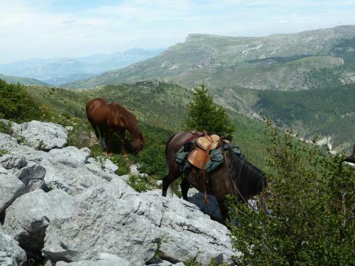 Hostal Gite Des Monges