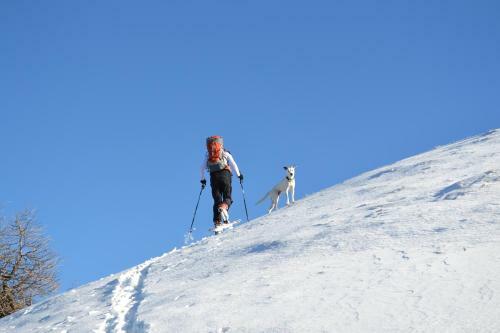 Hostal Gite Des Monges