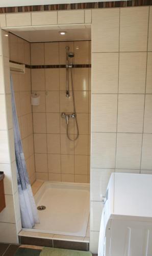 G�te Schlitteur Et Sapiniere