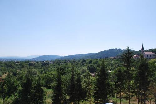 Bed & Breakfast Chambres D'h�tes Les Vignes