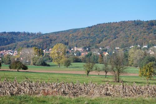 Hotel Kleiber