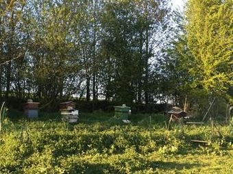 Apartamento La Ferme Des Moulineaux