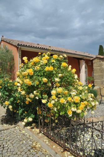 Bed & Breakfast La Petite Aiguebonne