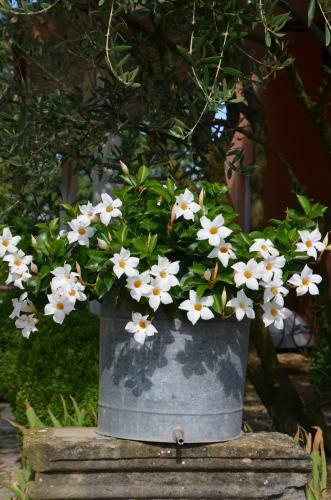 Bed & Breakfast La Petite Aiguebonne