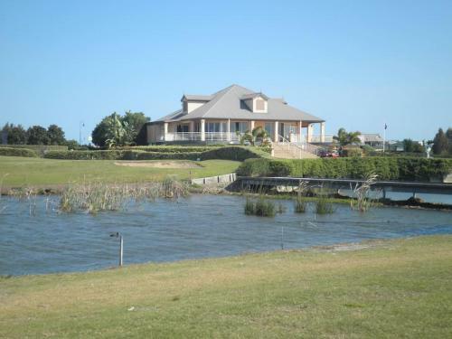 Harrys Haven Harrington