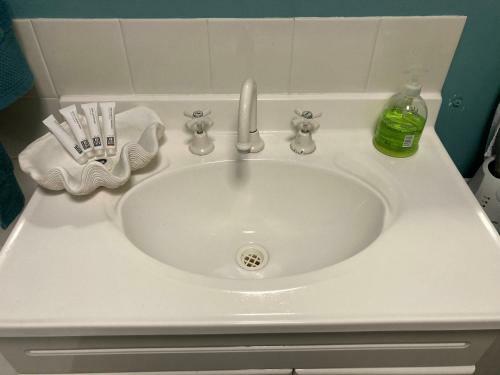 Apartamento 1166 On Booner - Hawks Nest