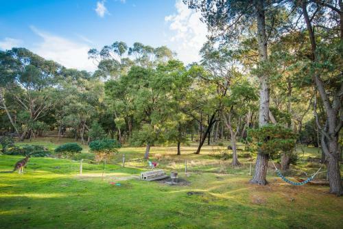 Serenity: Halls Gap