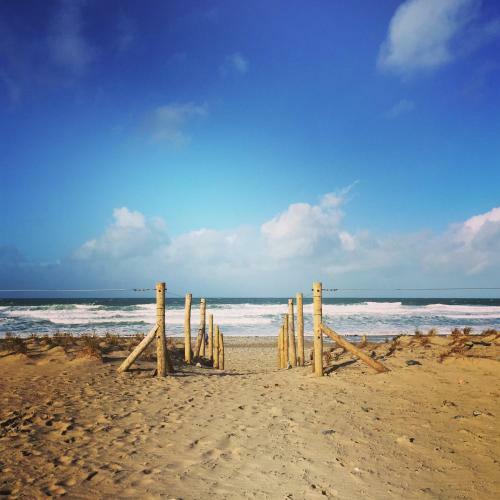 Apartamento Driftwood