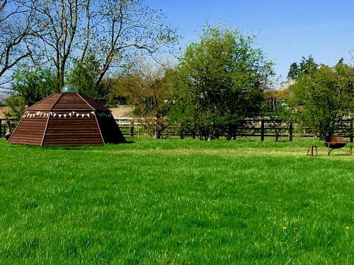 Honey Pod Farm