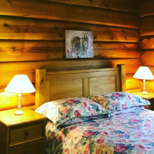 Lodge Log Home Village