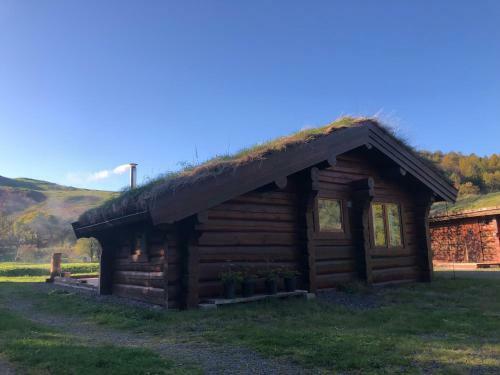 Lodge Log Home Village
