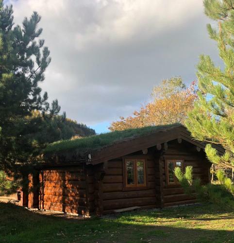 Lodge Log Home Village
