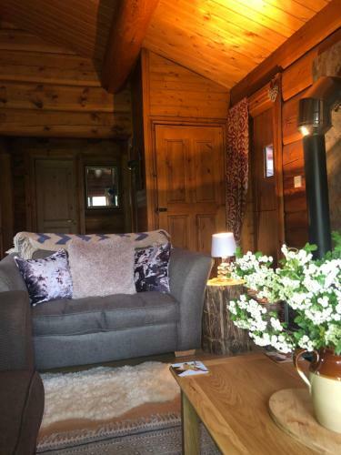 Lodge Log Home Village