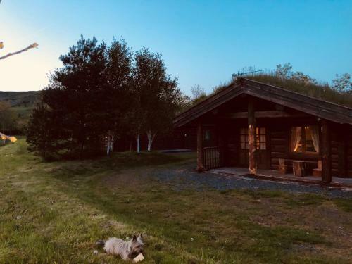 Lodge Log Home Village