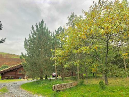 Lodge Log Home Village