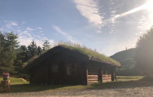 Lodge Log Home Village