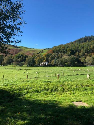 Lodge Log Home Village