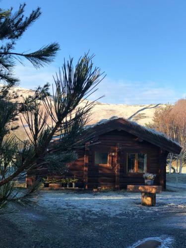 Lodge Log Home Village