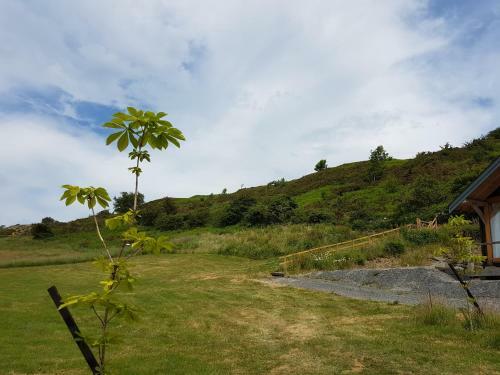 Newland Valley Log Cabins & Blackberry Landing
