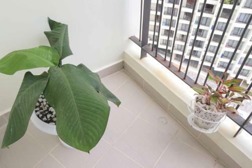 Apartamento Bliss House Nha Trang
