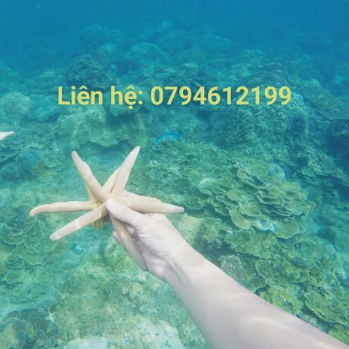 Apartamento Flc Sea Tower Quy Nh?n C?n H? View Bi?n Beach