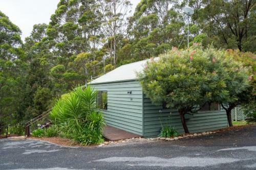 Refreshing Rainforest Retreat / Kangaroo Valley
