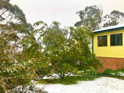 Daffodil Cottage