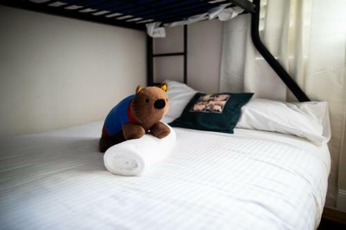 Wildlife Lodge Katoomba