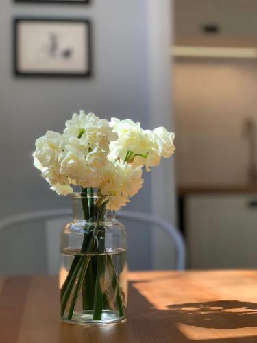 Hostal Aroha Studio