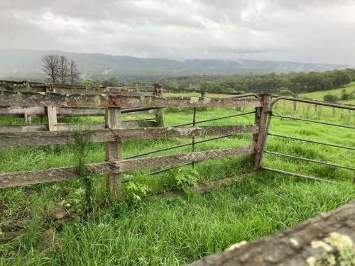 Tiny Home ? Big Views