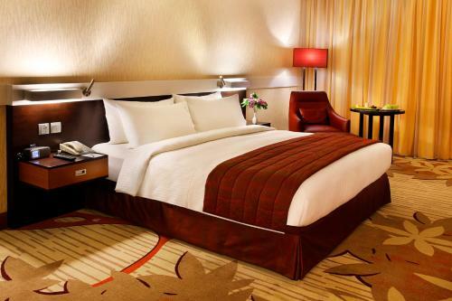 Hotel Holiday Inn Downtown
