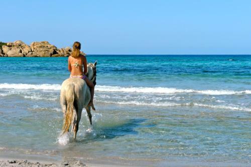 Apartamento R�sidence De Tourisme Mare � Macchia
