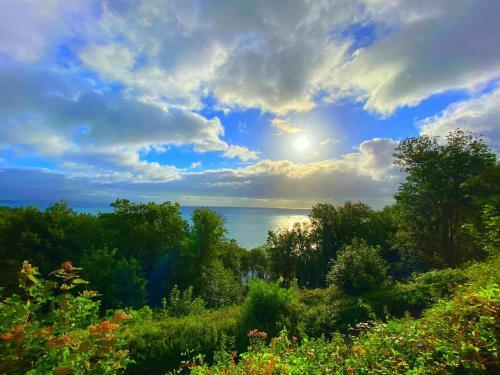Hotel Rooms At Babbacombe