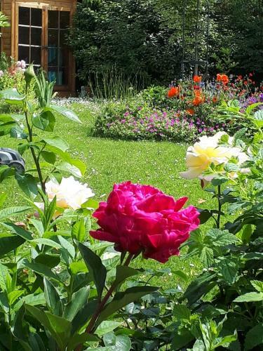 Santi Bhavana Bed & Breakfast
