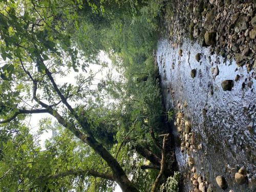 Wonderfully Scenic And Comfortable Dales Mill Property