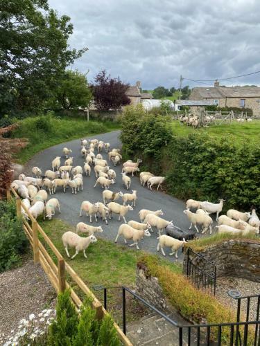Wonderfully Scenic And Comfortable Dales Mill Property