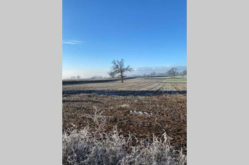 Prospect Perch - Studio Apartment, Wells